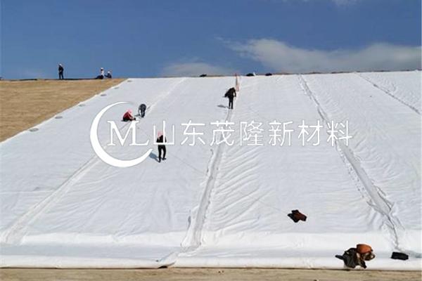 《引江濟(jì)淮工程(安徽段)引江濟(jì)巢段菜巢線施工C001 標(biāo)工程項目》土工布施工